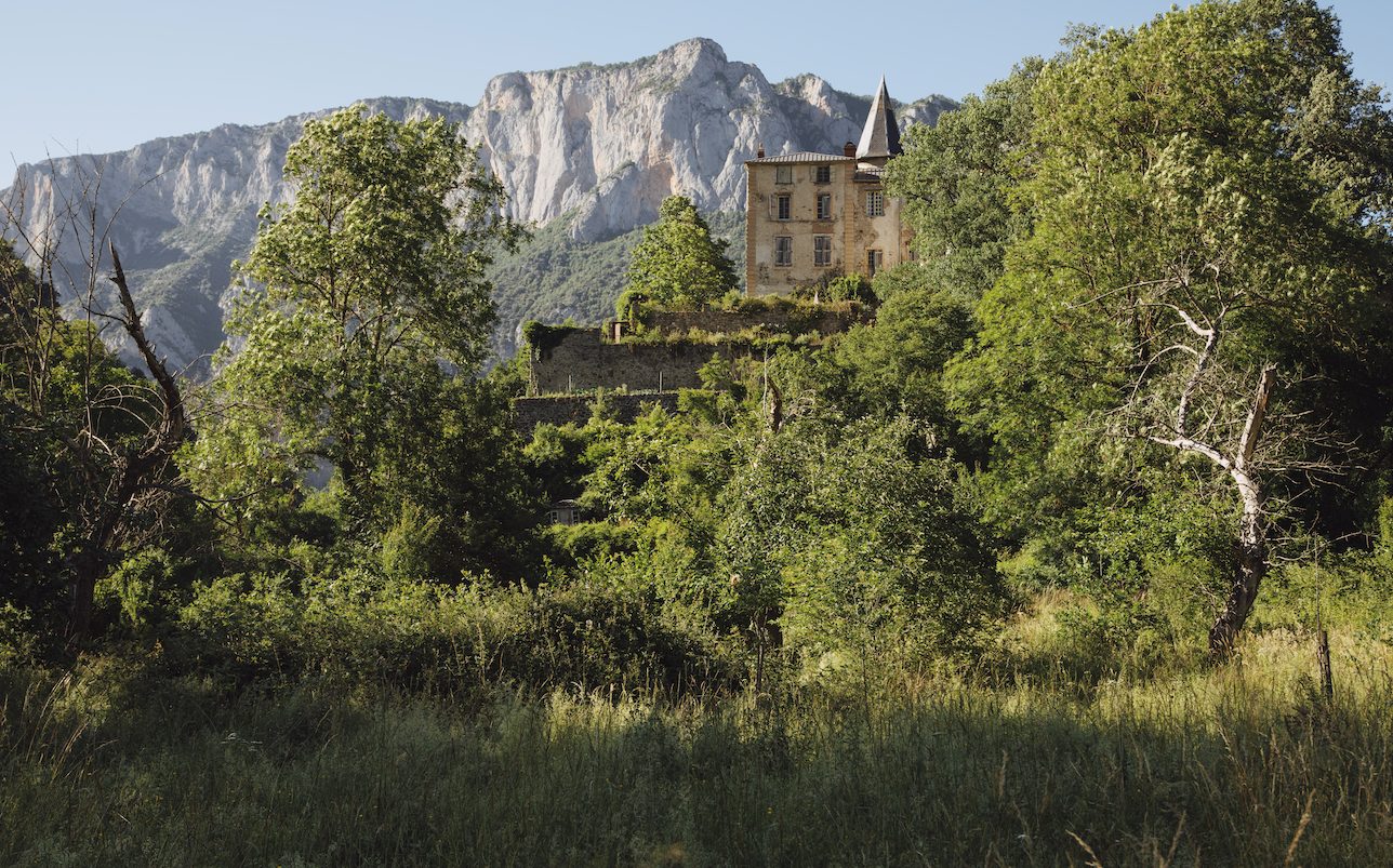 The château among the trees