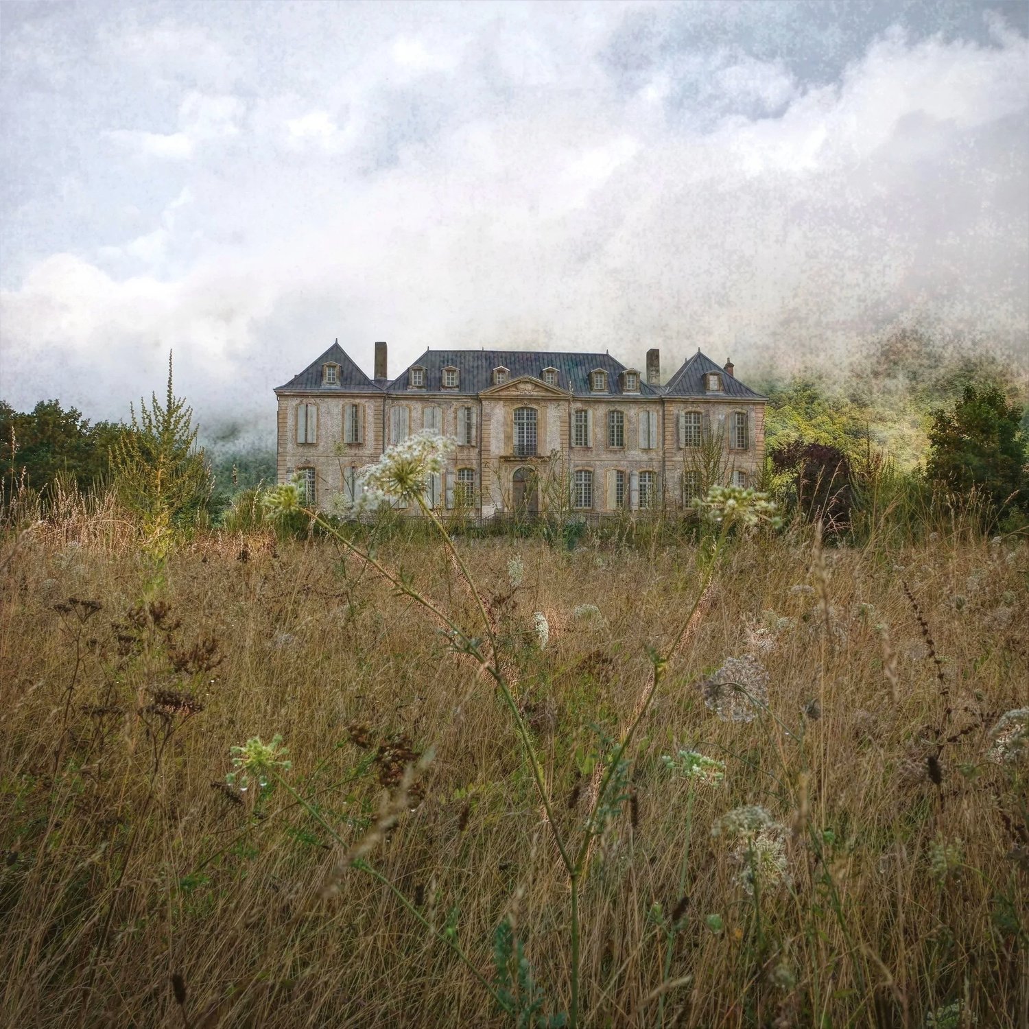 The meadow, mist on the hills