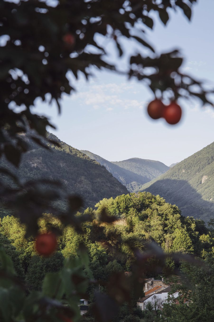 The mountains of the Ariège