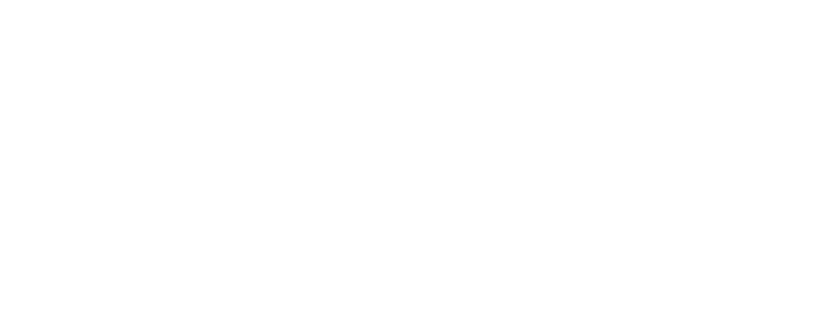 Château de Gudanes — Restoration