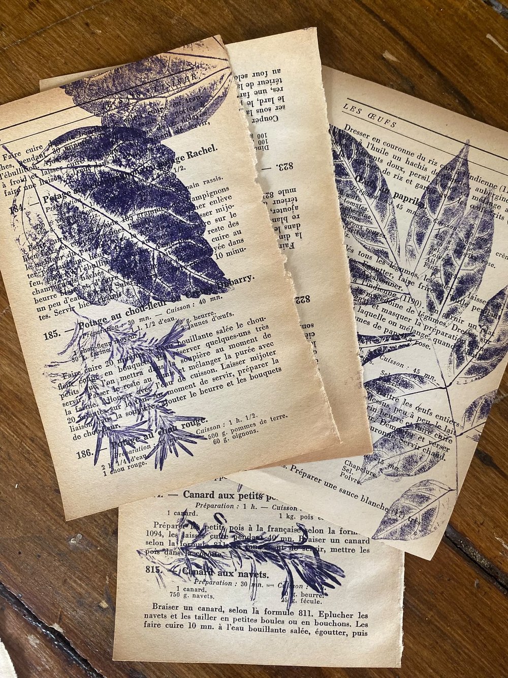 An old book of botanical prints