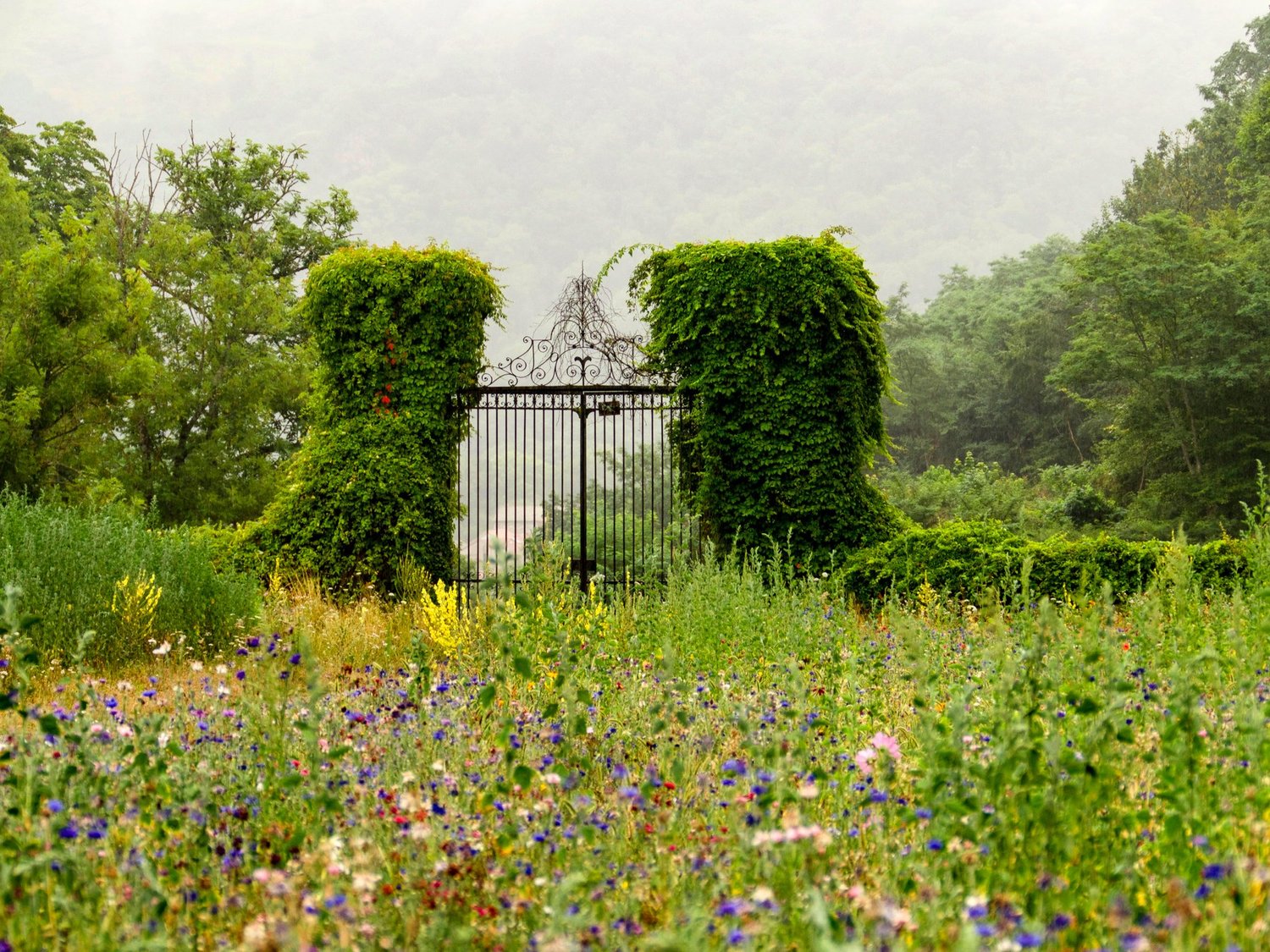 The gates in spring