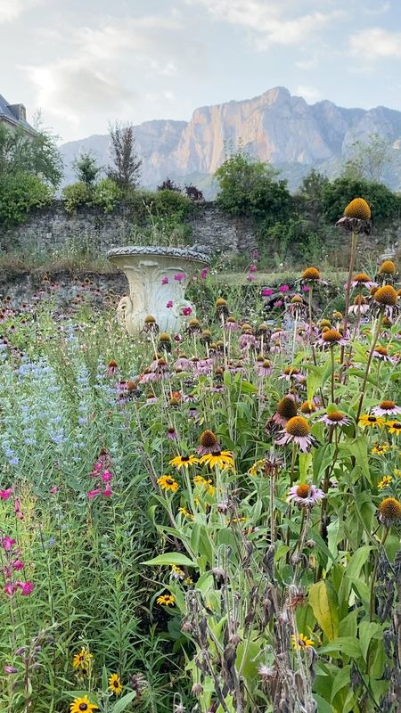 Late-summer flowers around an old urn