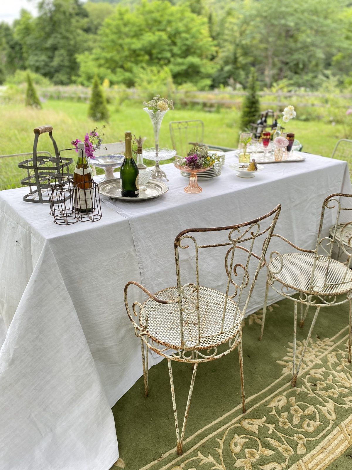 Garden chairs at a table on the lawn