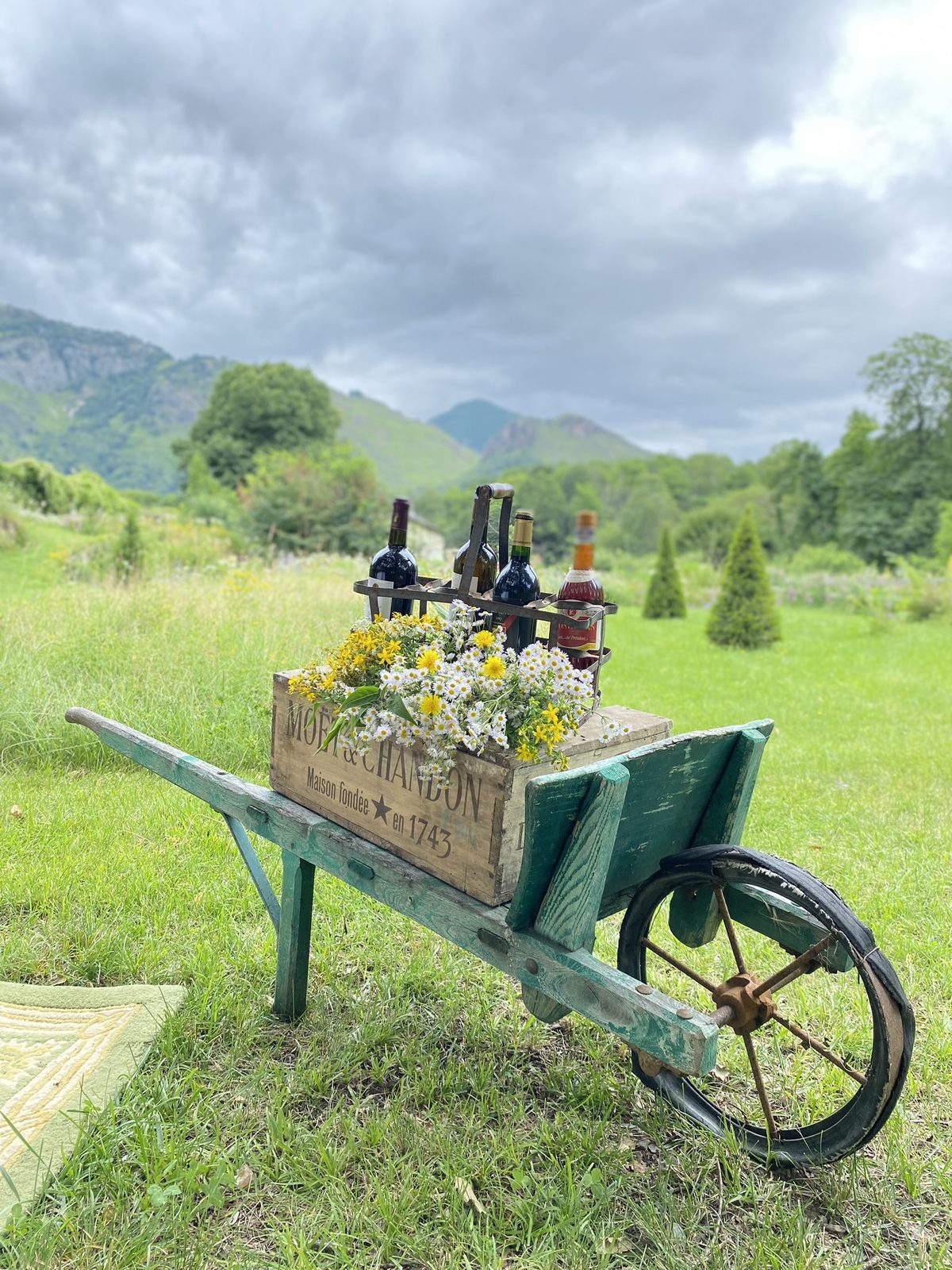 A wheelbarrow of wine in the meadow